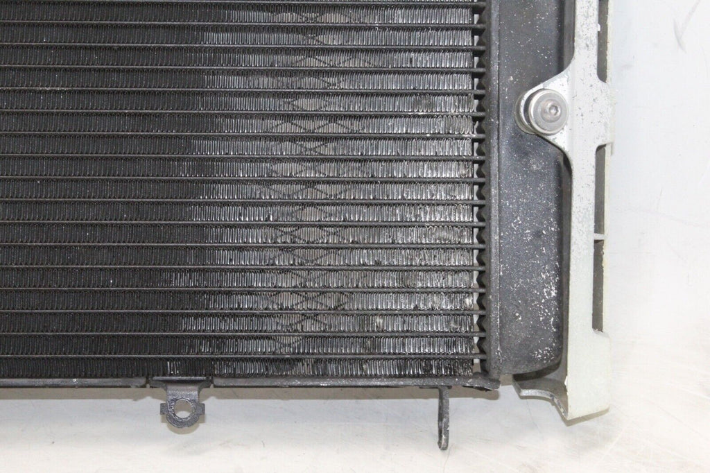 01-05 Yamaha Fz1 Oem Engine Radiator Motor Cooler Cooling Radiater