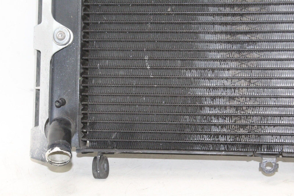 01-05 Yamaha Fz1 Oem Engine Radiator Motor Cooler Cooling Radiater