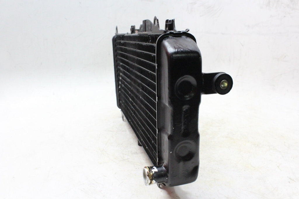 89-99 Yamaha Fzr600R Oem Engine Radiator Motor Cooler Cooling Radiater