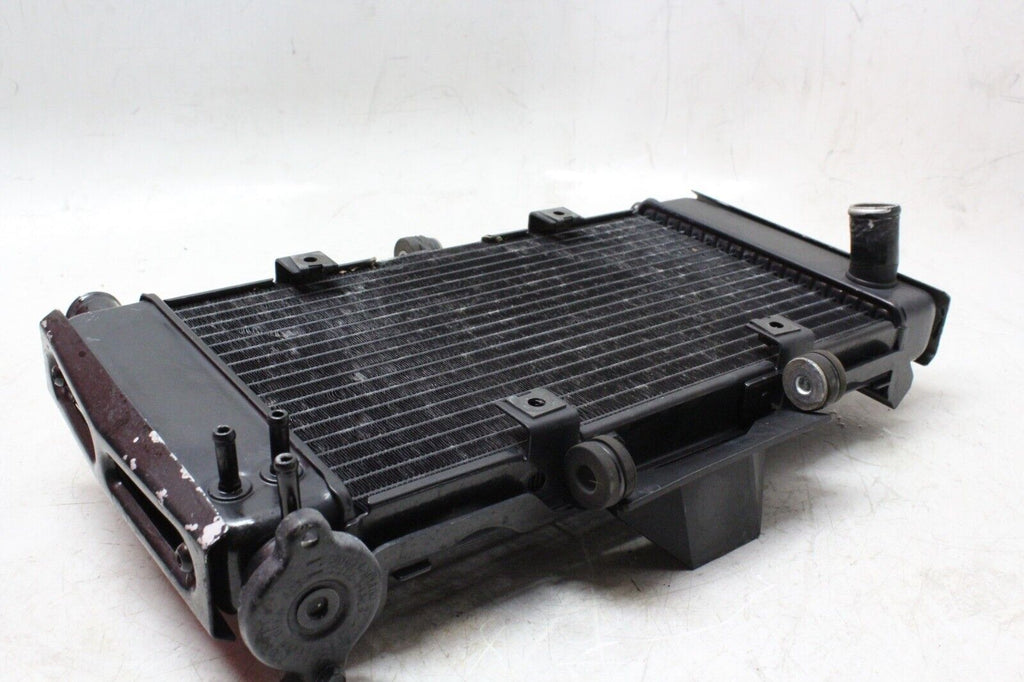 04-06 Yamaha Fz6 Oem Engine Radiator Motor Cooler Cooling Radiater