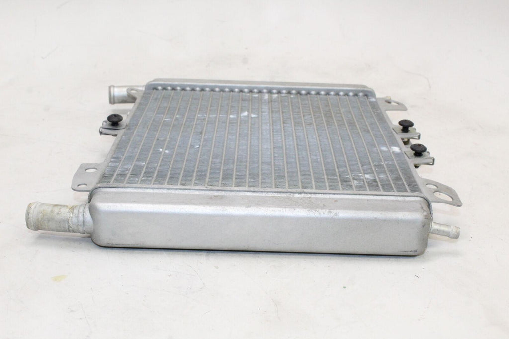 2007 Piaggio Bv 250 Engine Radiator Motor Cooler Cooling Radiater Oem