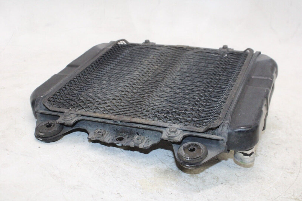 92-07 Kawasaki Ninja 250R Ex250Oem Engine Radiator Motor Cooler Cooling Radiater