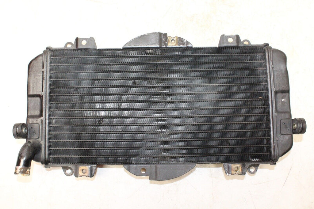 89-99 Yamaha Fzr600R Oem Engine Radiator Motor Cooler Cooling Radiater