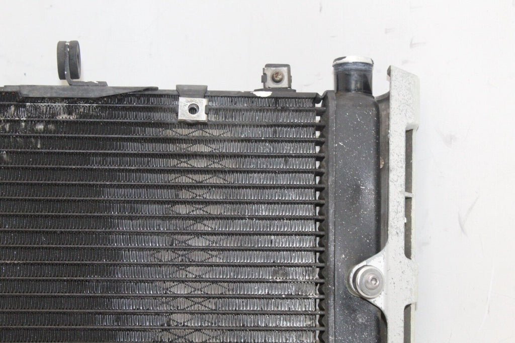 01-05 Yamaha Fz1 Oem Engine Radiator Motor Cooler Cooling Radiater