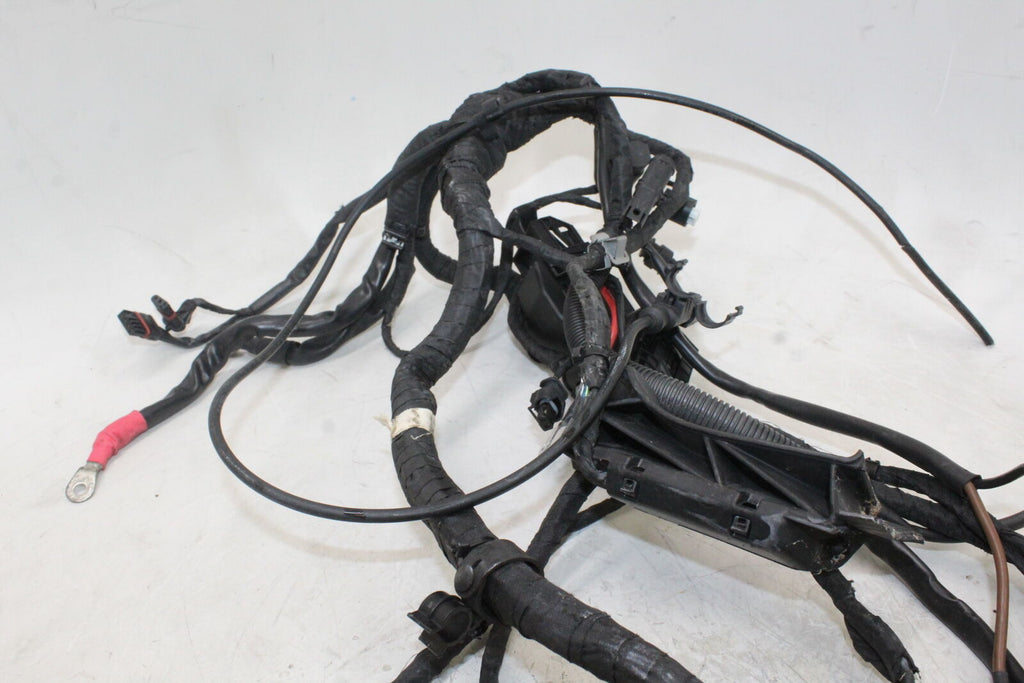 2008-13 Bmw F800Gs Standard Abs Main Engine Wiring Harness Motor Wire Loom Oem