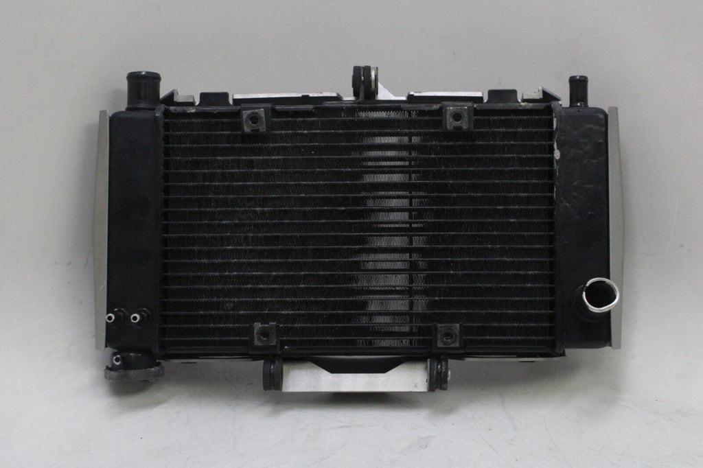04-06 Yamaha Fz6 Oem Engine Radiator Motor Cooler Cooling Radiater