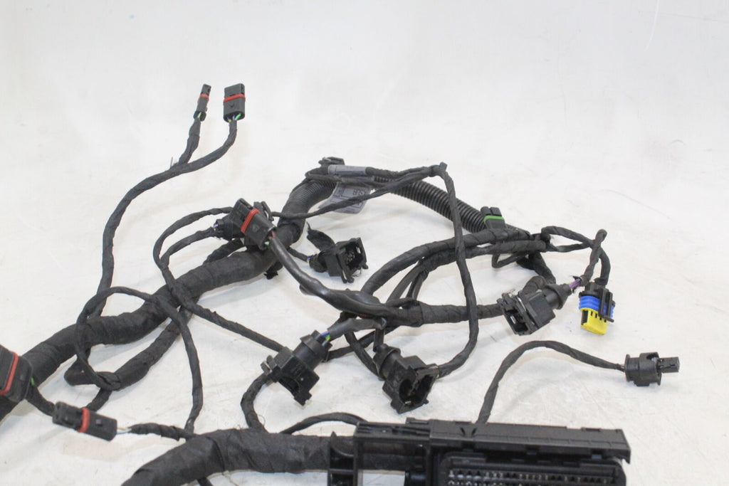 2008-18 Bmw F800Gs Speedo Gauges Wiring Harness Wire Loom Oem