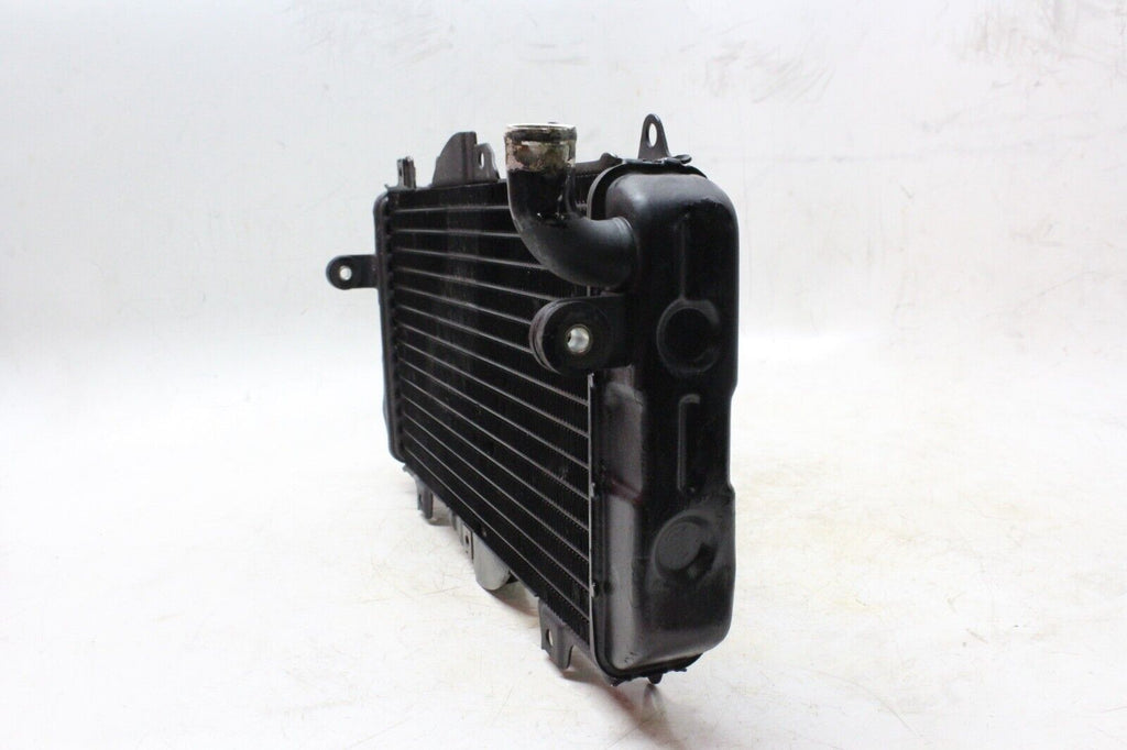 89-99 Yamaha Fzr600R Oem Engine Radiator Motor Cooler Cooling Radiater