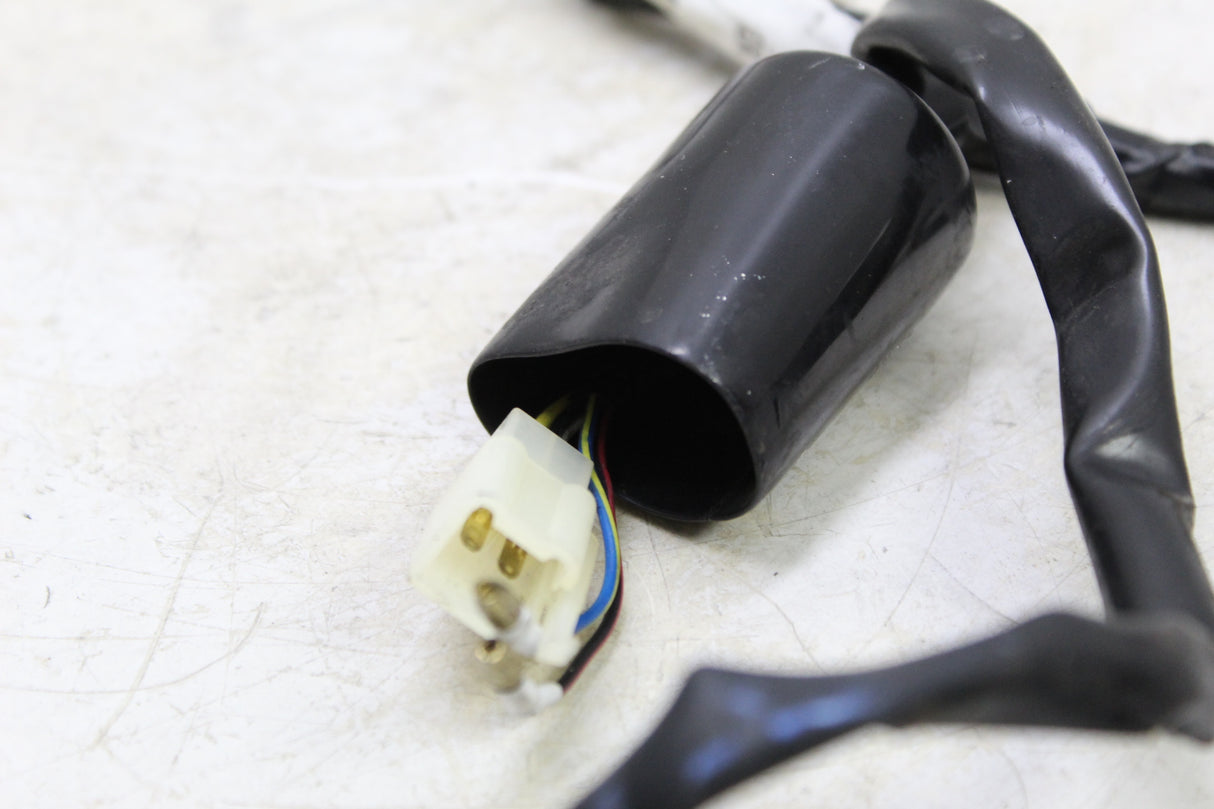 2017 Genuine Scooter Co. Buddy 125 OEM MAIN ENGINE WIRING HARNESS MOTOR