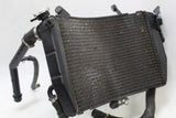 2004 Yamaha YZF R1 04-06 OEM ENGINE RADIATOR MOTOR COOLER COOLING RADIATER
