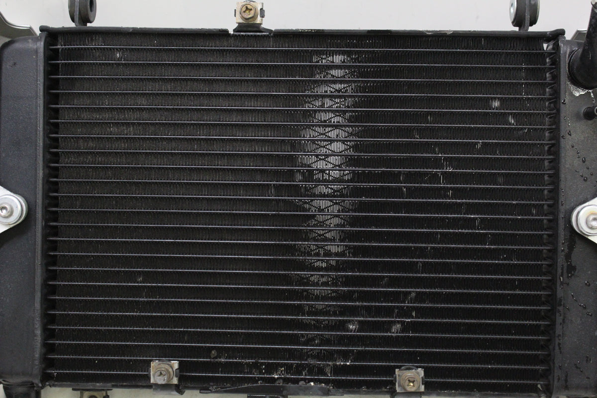 2003 Yamaha FZ1 FZS1000 Fazer OEM ENGINE RADIATOR MOTOR COOLER COOLING RADIATER