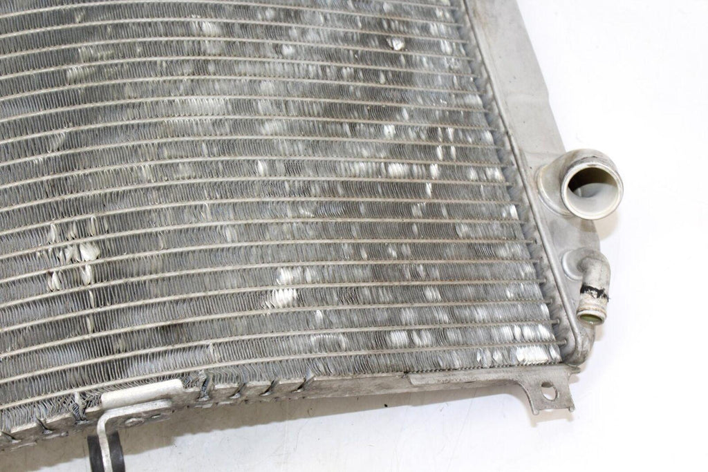 01-03 Suzuki Gsxr600 Engine Radiator Motor Cooler Cooling Radiater - Suzuki - Gold River Motorsports