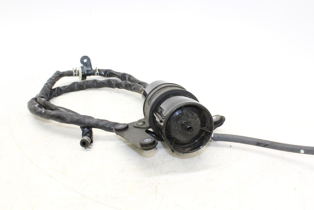 01-03 Suzuki Gsxr600 Evap Vapor Charcoal Emission Canister Oem - Suzuki - Gold River Motorsports