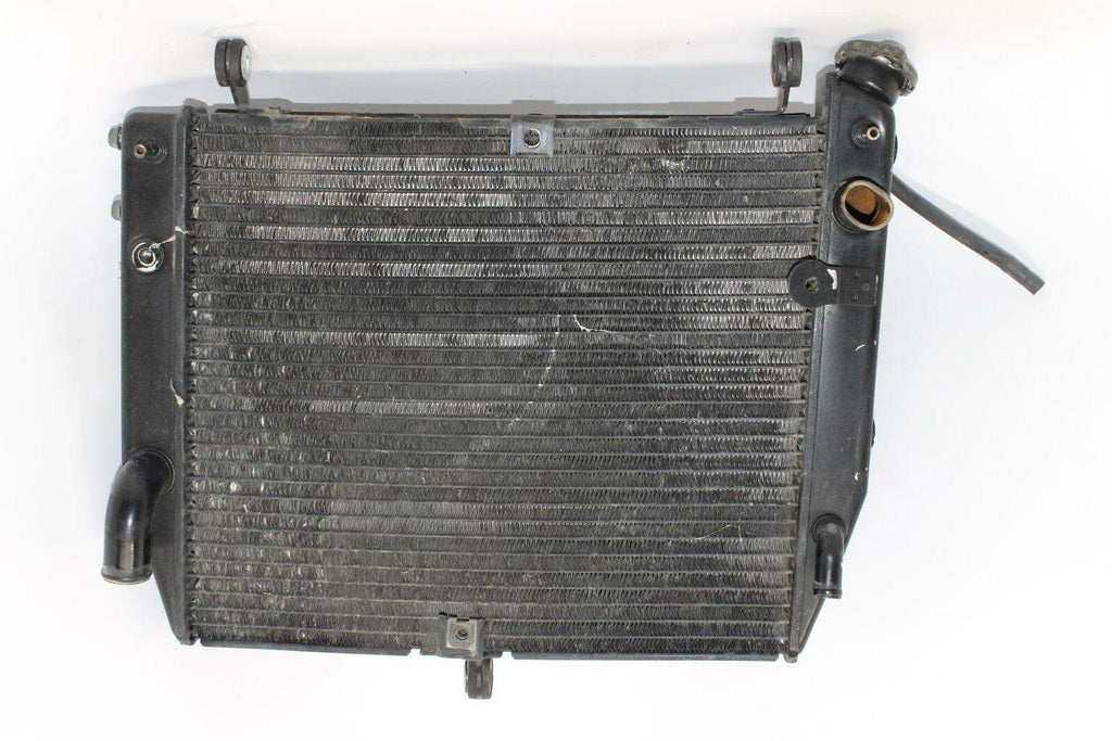 02-03 Yamaha Yzf R1 Engine Radiator Motor Cooler Cooling Radiater Oem - Yamaha - Gold River Motorsports