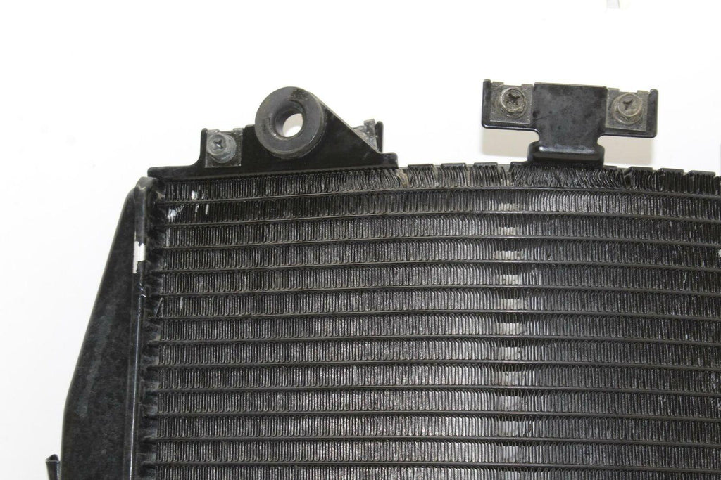 02-05 Kawasaki Zzr1200 Engine Radiator Motor Cooler Cooling Radiator Oem - Kawasaki - Gold River Motorsports