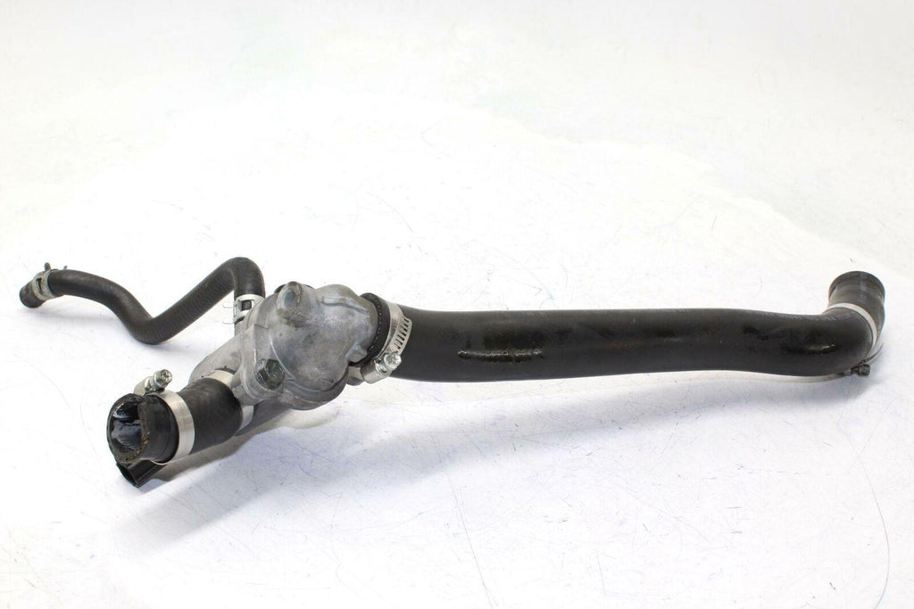 02-09 Suzuki Vstrom 1000 Dl1000 Thermostat Oem - Suzuki - Gold River Motorsports