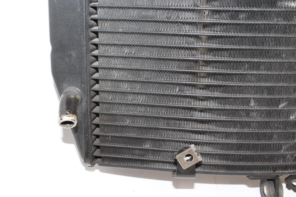 (03-08) 2007 Yamaha Yzf R6 Engine Radiator Motor Cooler Cooling Radiater Oem - Yamaha - Gold River Motorsports