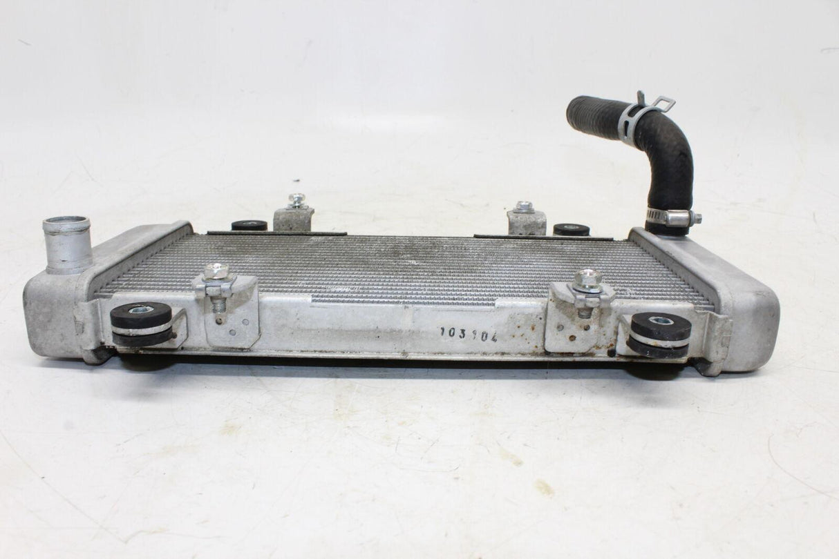 2013-2016 Kawasaki Ninja 300 Ex300a Engine Radiator Motor Cooler Cooling Radiate - Gold River Motorsports