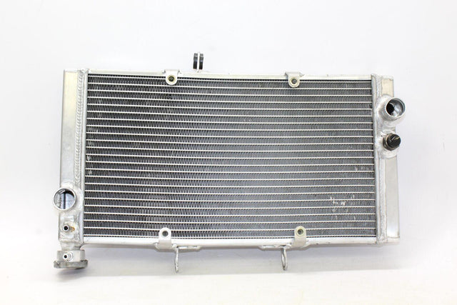 1998 Honda Cbr1100xx Engine Radiator Motor Cooler Cooling Radiater Oem - Gold River Motorsports