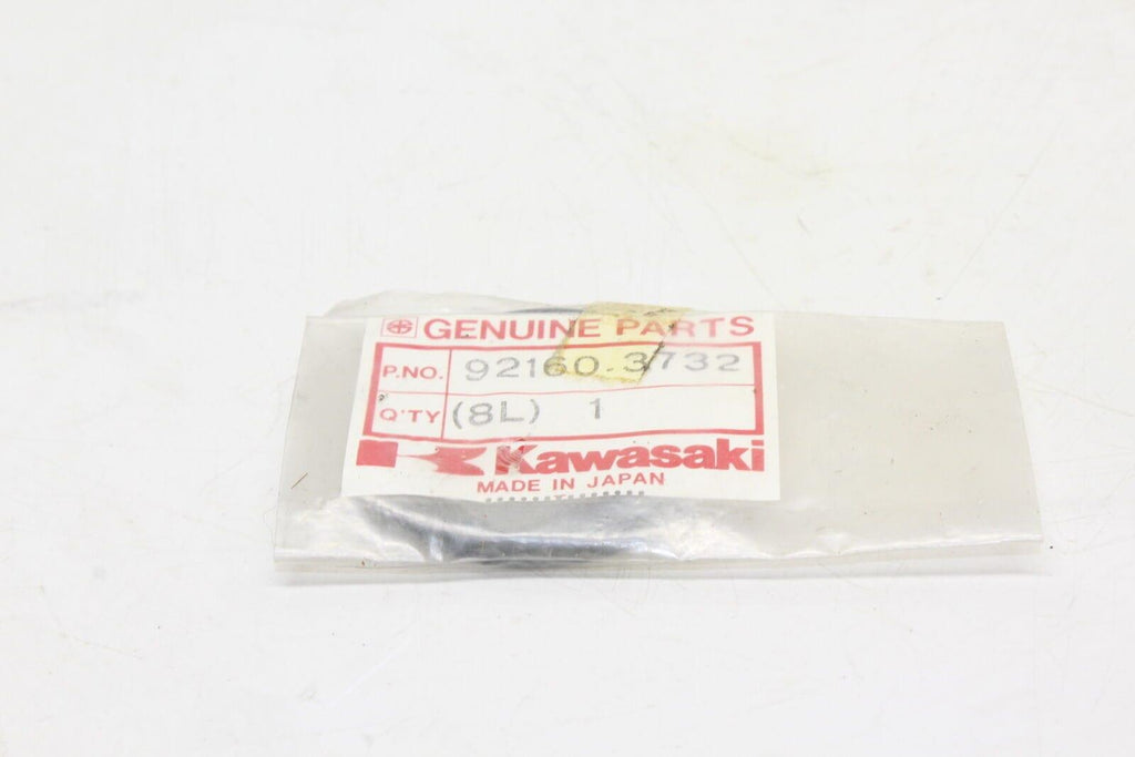 Kawasaki Damper 92160-3732 Oem - Gold River Motorsports