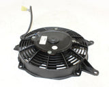 1999 Triumph Legend Tt Engine Radiator Cooling Fan - Gold River Motorsports