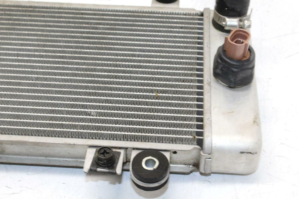 08-12 Kawasaki Ninja 250r Ex250j Engine Radiator Motor Cooler Cooling Radiater - Gold River Motorsports