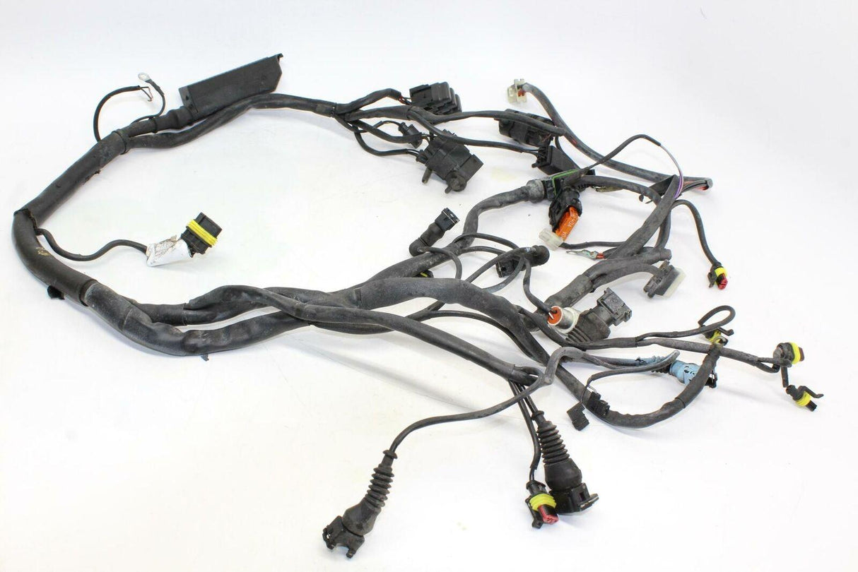 2000 Ducati St4 Main Engine Wiring Harness Motor Wire Loom Oem - Gold River Motorsports