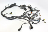 2000 Ducati St4 Main Engine Wiring Harness Motor Wire Loom Oem - Gold River Motorsports