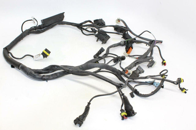 2000 Ducati St4 Main Engine Wiring Harness Motor Wire Loom Oem - Gold River Motorsports