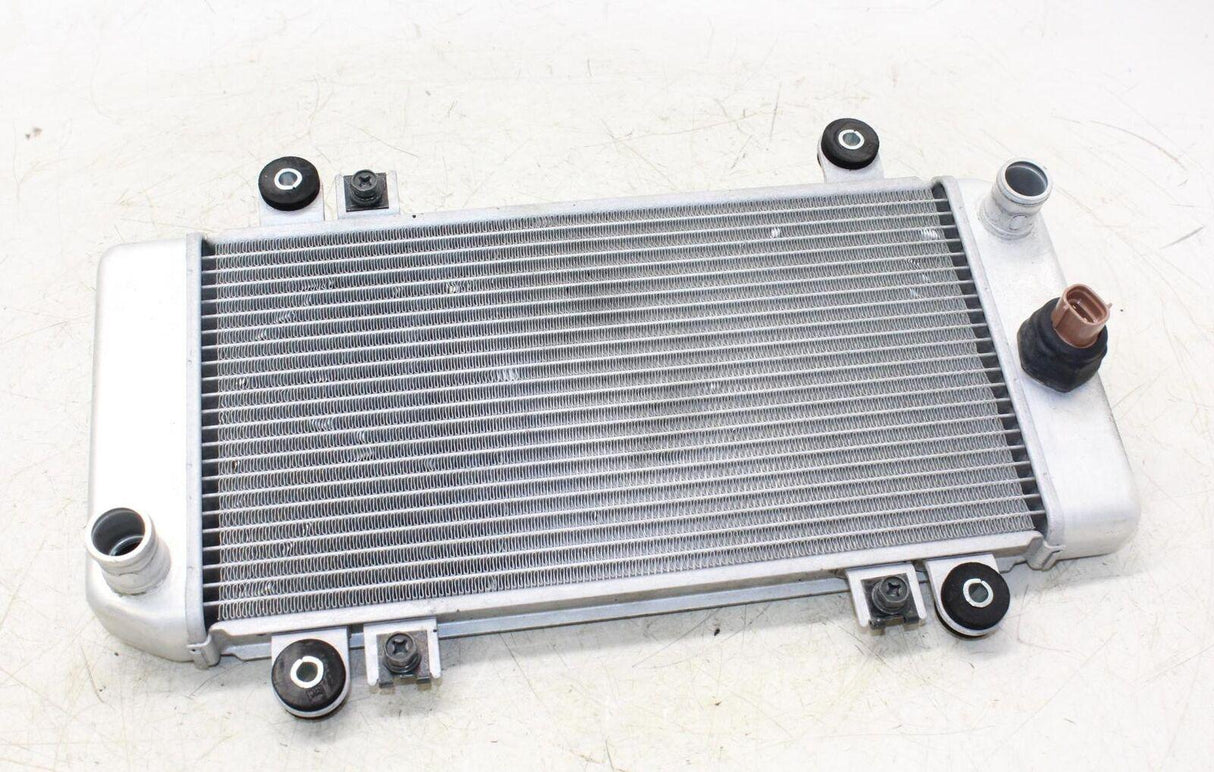 08-12 Kawasaki Ninja 250r Ex250j Engine Radiator Motor Cooler Cooling Radiater - Gold River Motorsports