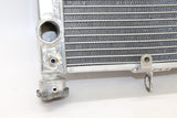 1998 Honda Cbr1100xx Engine Radiator Motor Cooler Cooling Radiater Oem - Gold River Motorsports