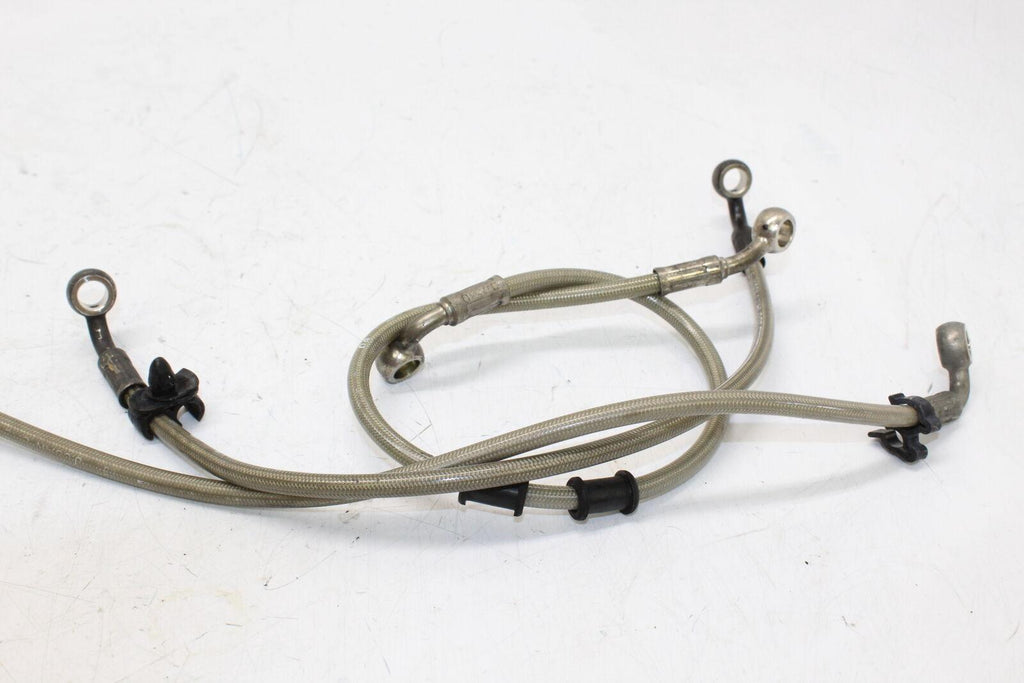 06-08 Triumph Daytona 675 Front Brake Caliper Hoses Lines Oem - Gold River Motorsports