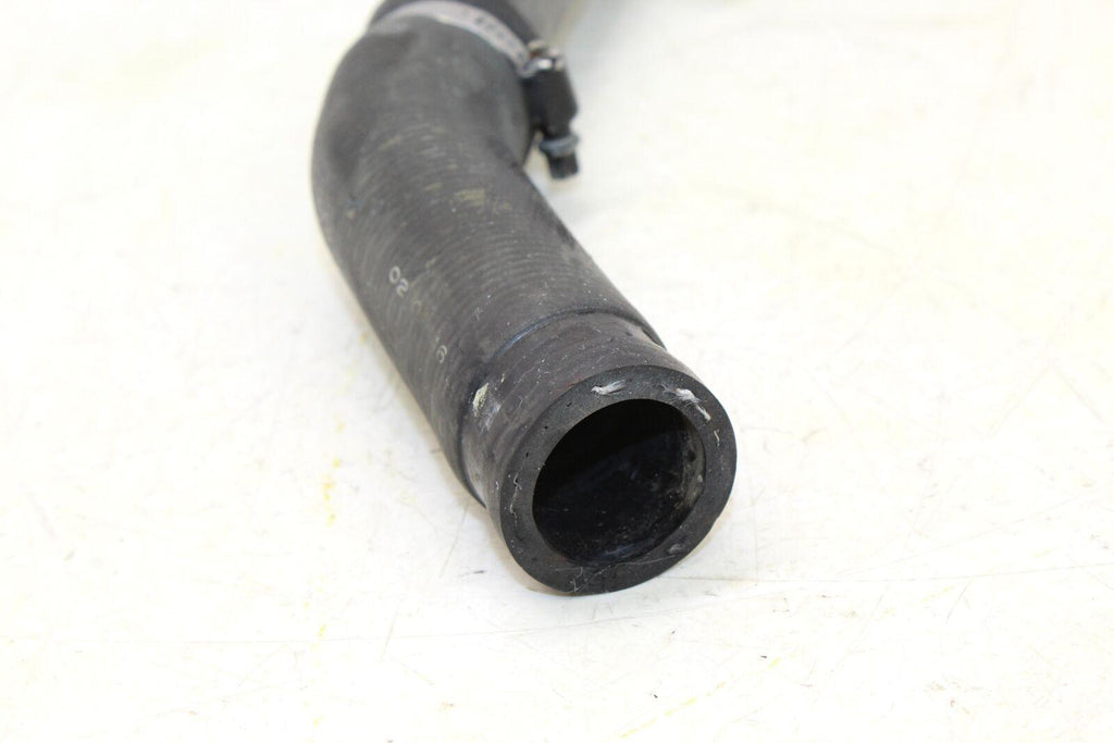 2002 Honda Cbr954rr Hoses Set - Gold River Motorsports