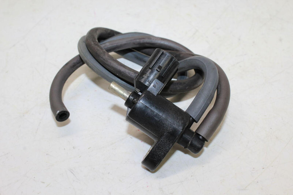 2001 Honda Rvt1000r Rc51 Hornet Valve - Gold River Motorsports