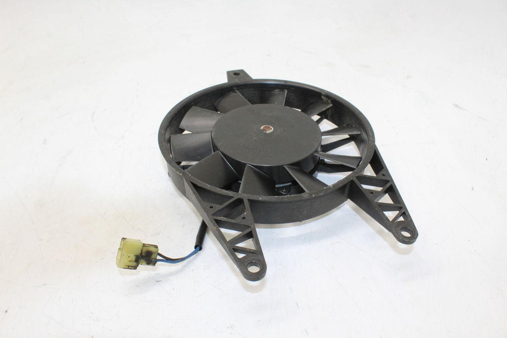 2000-2003 Triumph Tt600 Engine Radiator Cooling Fan Oem - Gold River Motorsports