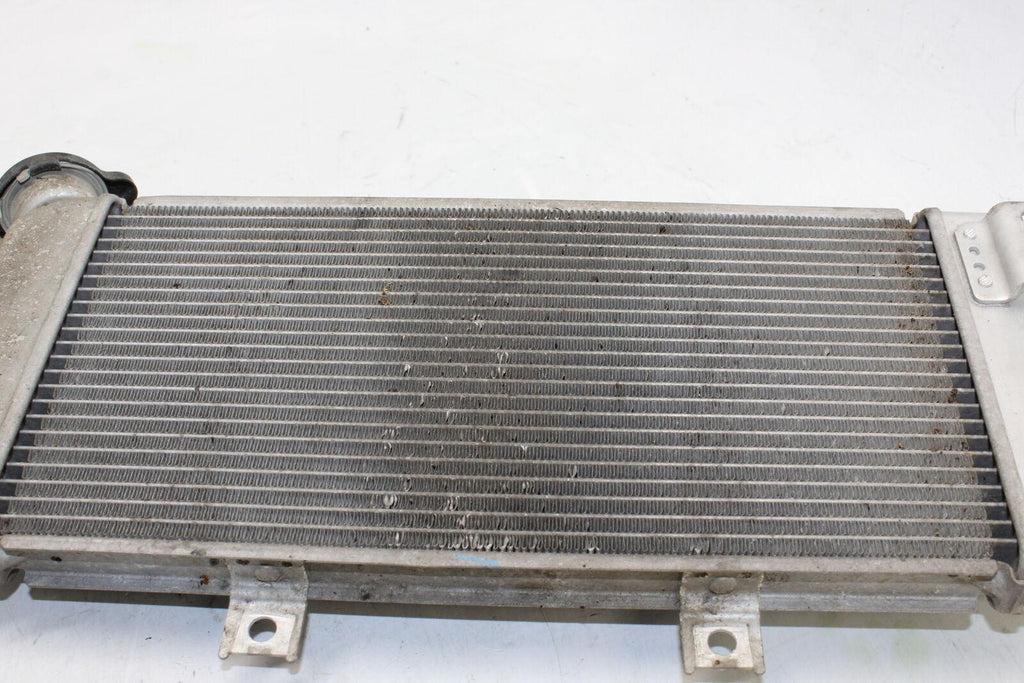 06-08 Kawasaki Ninja 650r Engine Radiator Motor Cooler Cooling Radiater Oem - Gold River Motorsports