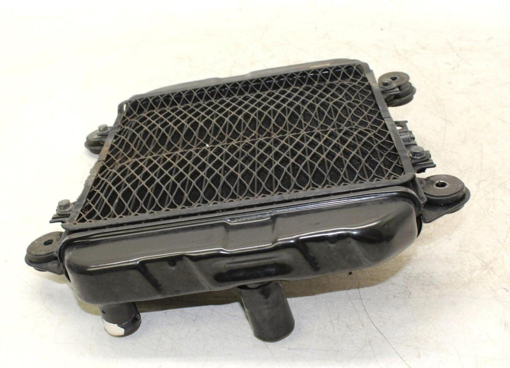 97-07 Kawasaki Ninja 250r Ex250f Engine Radiator Motor Cooler Cooling Radiater - Gold River Motorsports