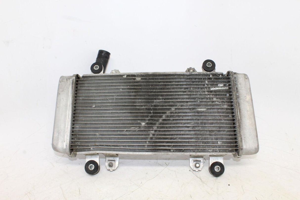 2013-2016 Kawasaki Ninja 300 Ex300a Engine Radiator Motor Cooler Cooling Radiate - Gold River Motorsports
