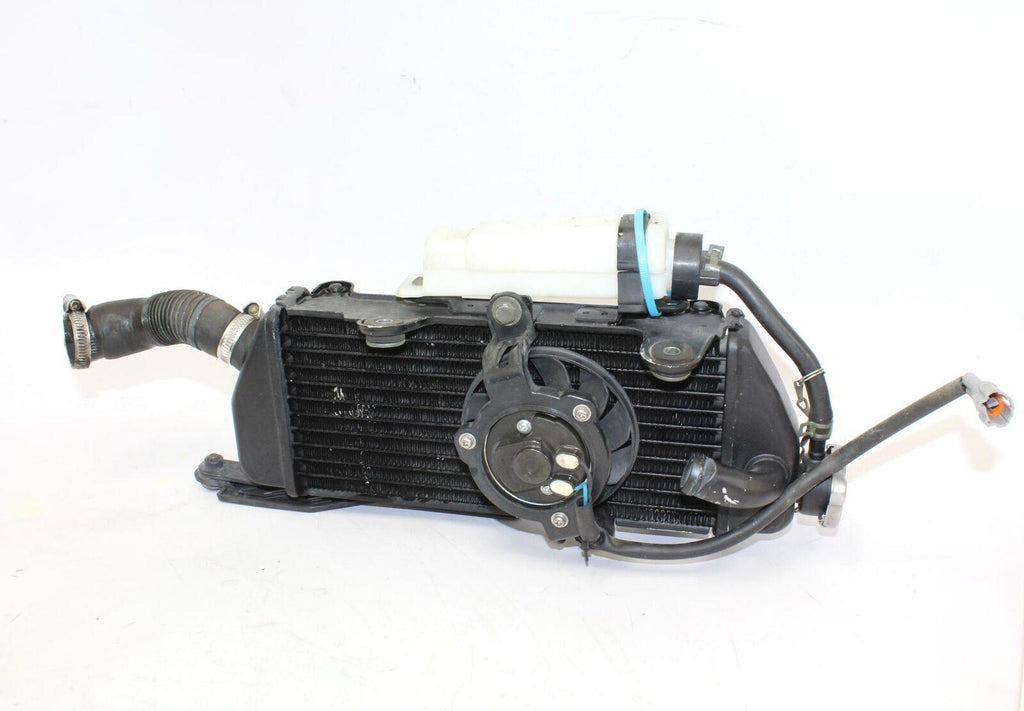 15 Zongshen Csc Rx 250cc Engine Radiator Motor Cooler Cooling Radiater - Gold River Motorsports