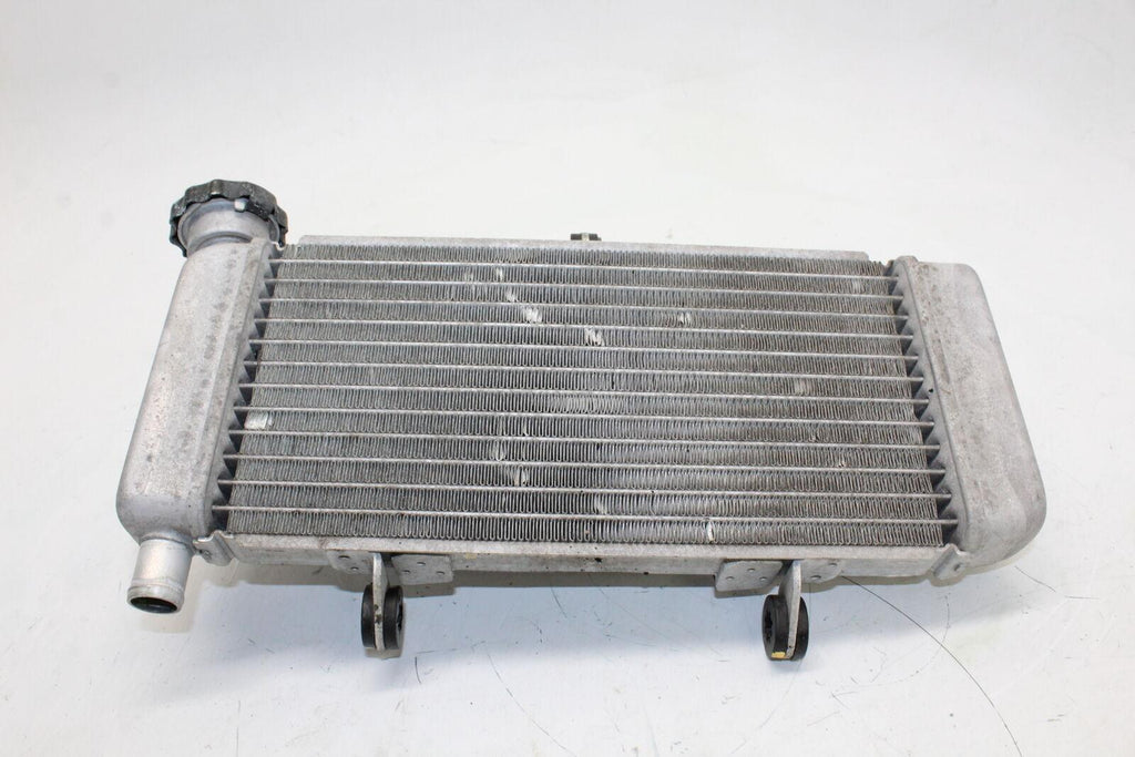 2011-2013 Honda Cbr250r Engine Radiator Motor Cooler Cooling Radiater Oem - Gold River Motorsports