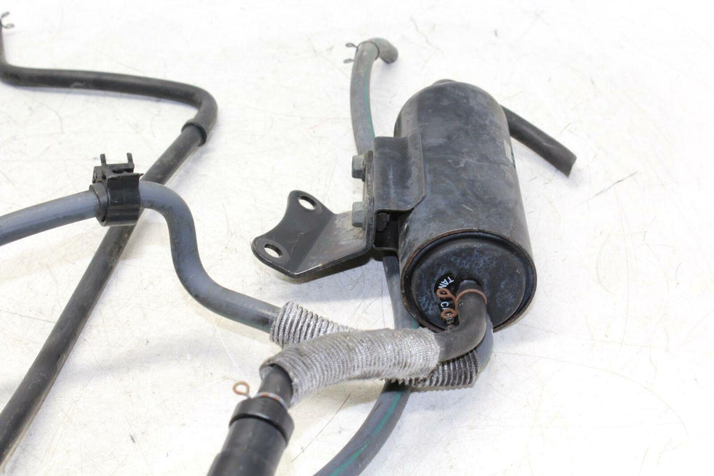 2004 Yamaha V Star 650 Xvs650a Classic Evap Vapor  Charcoal Emission Canister