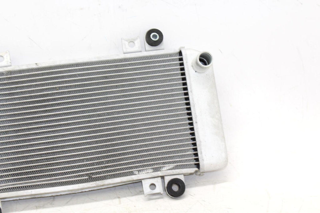 08-11 Kawasaki Ninja 250r Ex250j Engine Radiator Motor Cooler Cooling Radiater - Gold River Motorsports