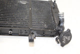 05-07 Triumph Sprint St Engine Radiator Motor Cooler Cooling Radiater Oem - Gold River Motorsports