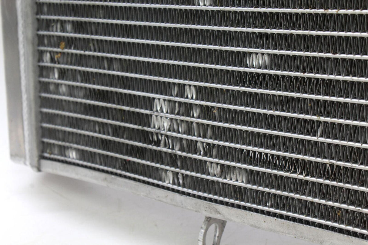 1998 Honda Cbr1100xx Engine Radiator Motor Cooler Cooling Radiater Oem - Gold River Motorsports