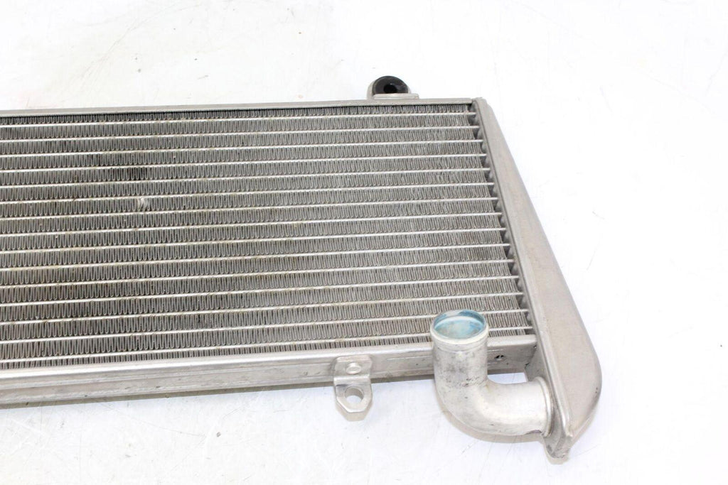 2012 Ducati 1199 Panigale S Tricolore Engine Radiator Motor Cooler Cooling - Gold River Motorsports