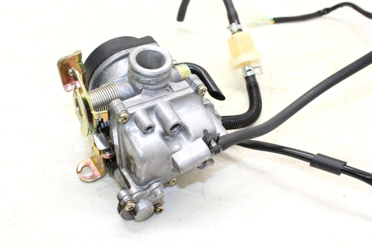 15 Znen 4 Stroke 60cc Carb Carburetor Oem - Gold River Motorsports