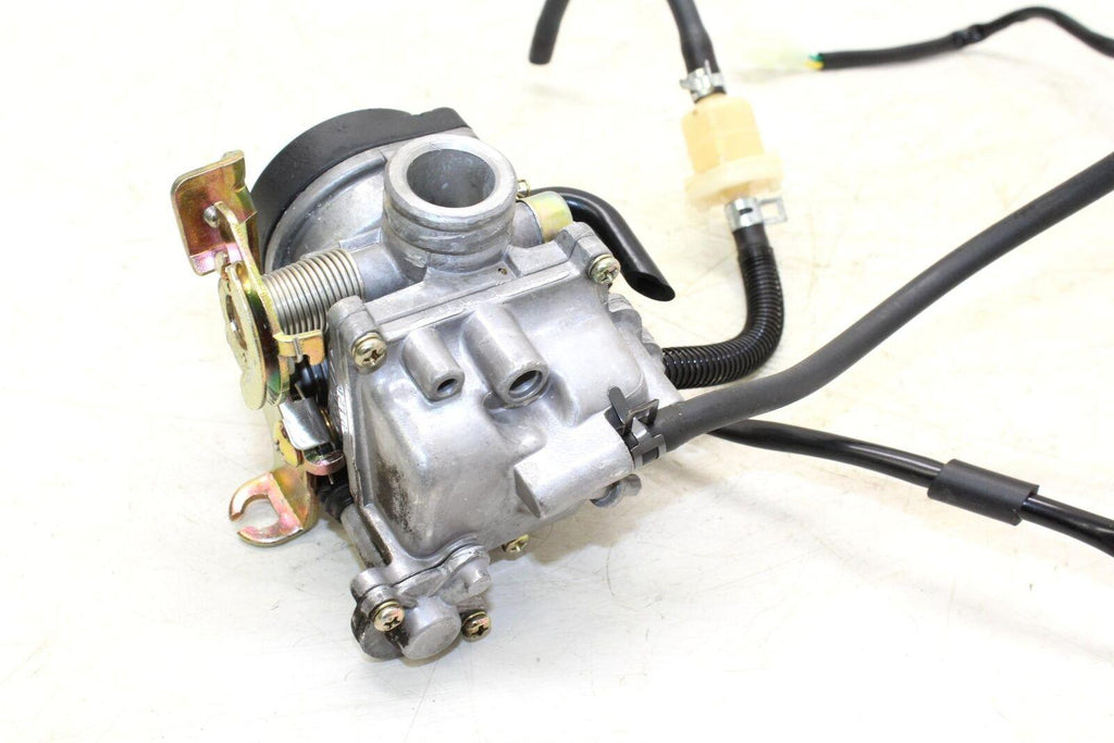 15 Znen 4 Stroke 60cc Carb Carburetor Oem - Gold River Motorsports