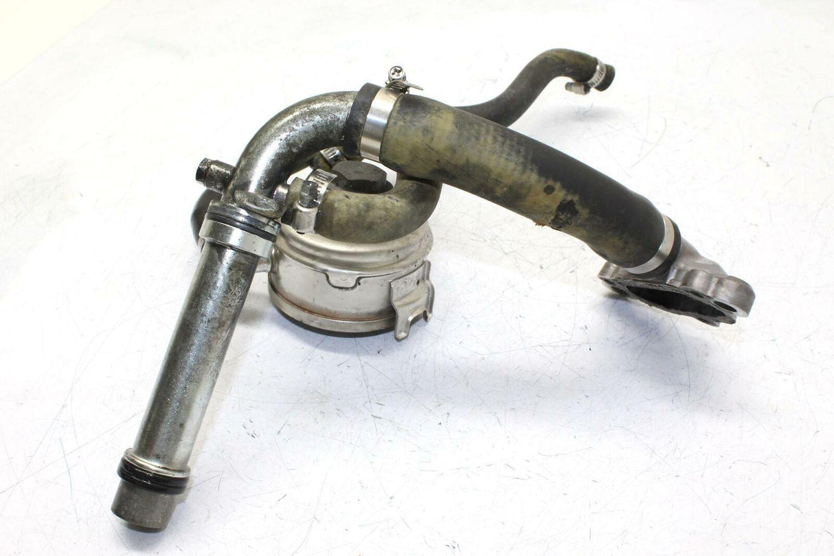 06-08 Triumph Daytona 675 Engine Motor Oil Cooler Oem - Gold River Motorsports