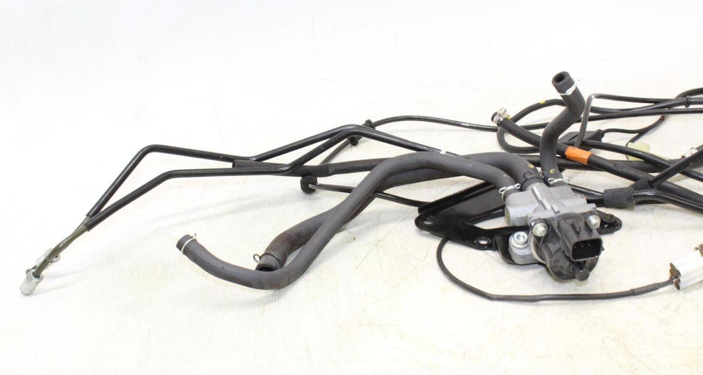 07-09 Suzuki Vstrom 650 Dl650 Different Cables & Sensors Oem - Gold River Motorsports