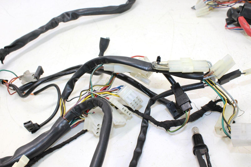 1999 Bmw F650 Main Engine Wiring Harness Motor Wire Loom - Gold River Motorsports